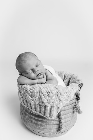 Newborn-Freeman-210-2
