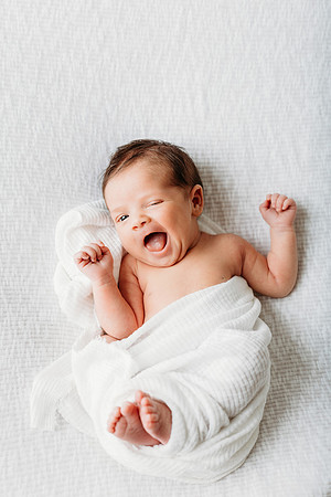 Freeman Newborn 2024-749