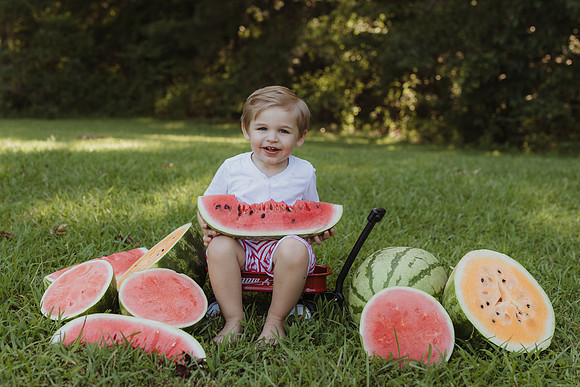 Ty + Watermelon 2025-110