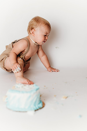 Milestone-Ari 1st Birthday_-354