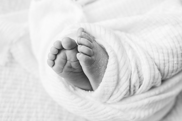 Freeman Newborn 2024-738-2
