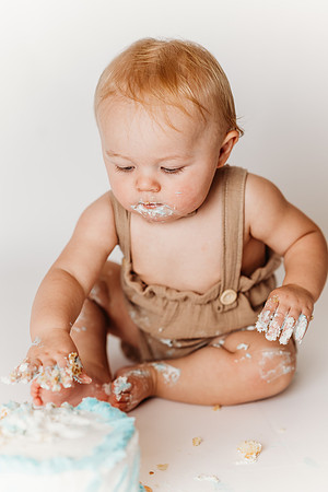 Milestone-Ari 1st Birthday_-333