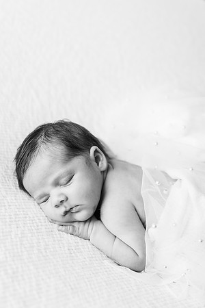 Freeman Newborn 2024-707-2
