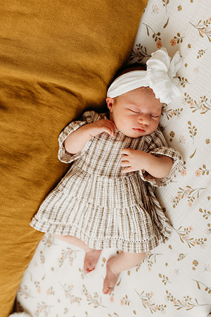 Kitchens Newborn 2025-713