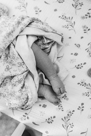 Kitchens Newborn 2025-719