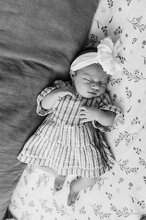 Kitchens Newborn 2025-805