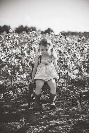 untitled-323-2