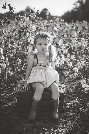 untitled-638-2