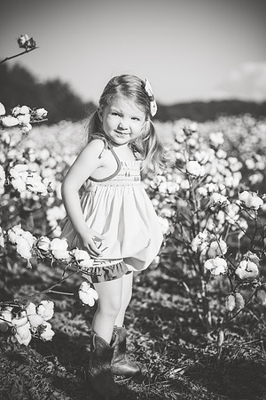 untitled-361-2