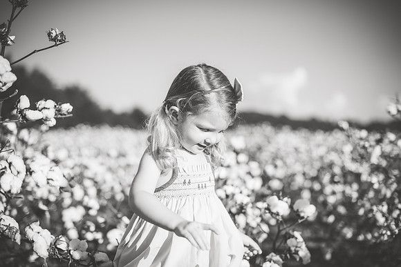 untitled-357-2
