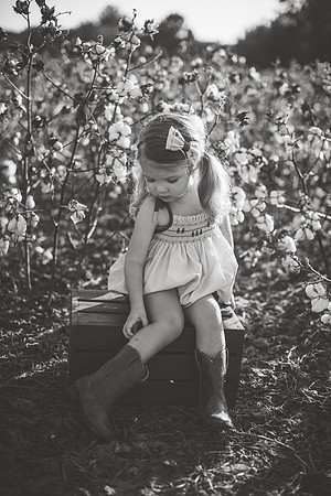 untitled-636-2