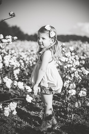 untitled-345-2