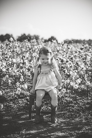 untitled-319-2