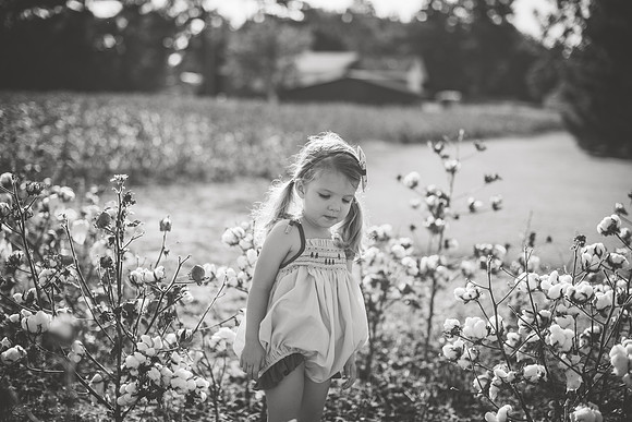 untitled-368-2