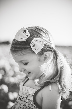 untitled-385-2
