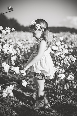 untitled-349-2