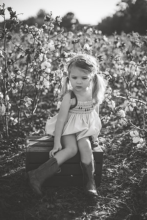 untitled-635-2