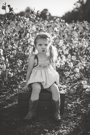 untitled-639-2