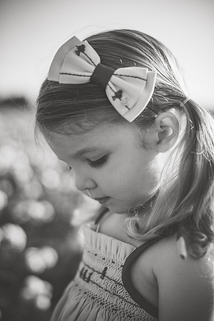 untitled-379-2