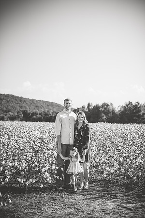 untitled-288-2