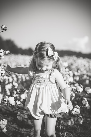 untitled-355-2
