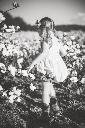 untitled-343-2