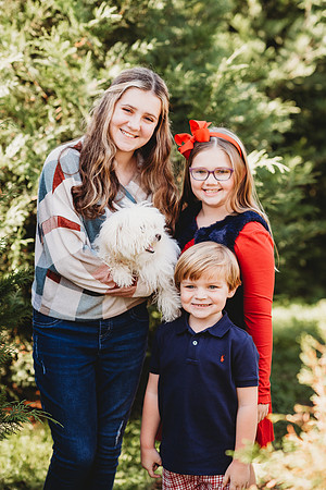 untitled-733
