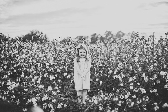untitled-109-2