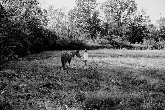 untitled-346-2