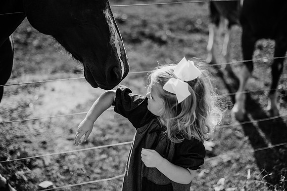 untitled-151-2