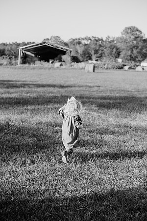 untitled-507-2