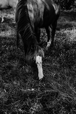 untitled-784-2