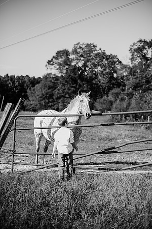 untitled-521-2