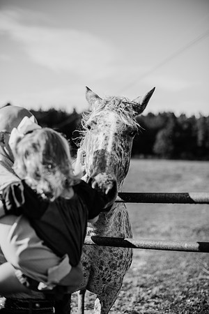 untitled-613-2
