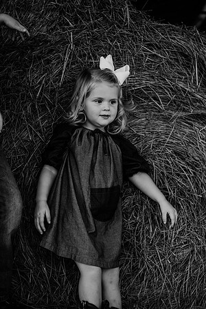 untitled-610-2
