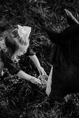 untitled-383-2