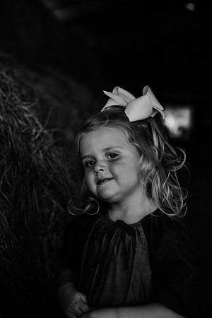untitled-445-2
