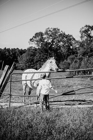 untitled-201-2