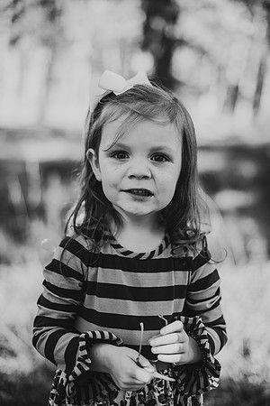 untitled-339-2