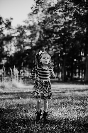 untitled-269-2
