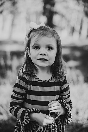 untitled-338-2