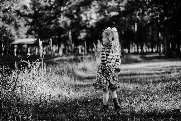 untitled-256-2