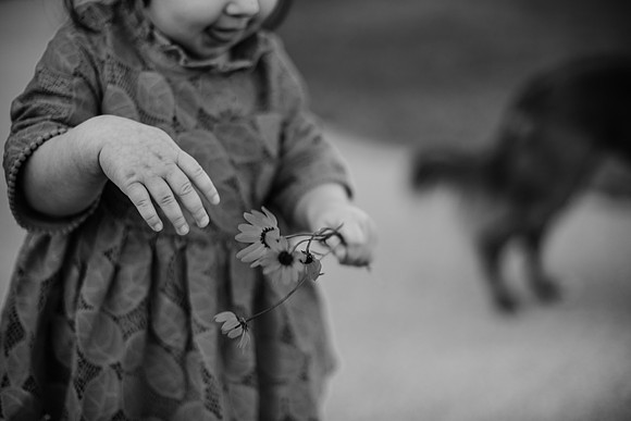 untitled-418-2