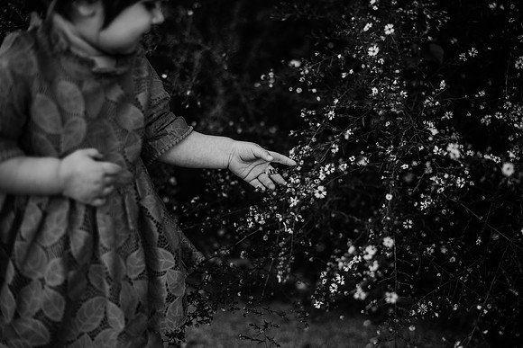 untitled-390-2