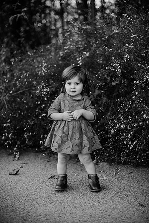 untitled-382-2