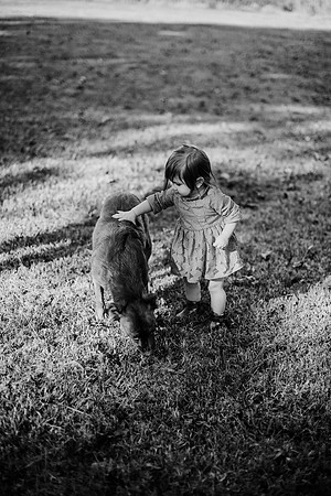 untitled-285-2
