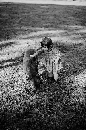 untitled-286-2