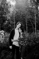untitled-337-2
