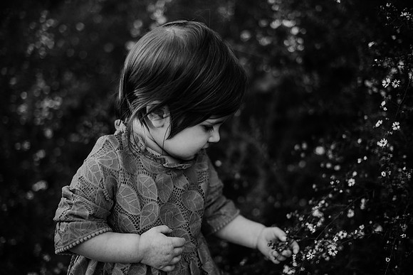 untitled-392-2