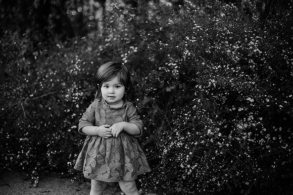 untitled-386-2